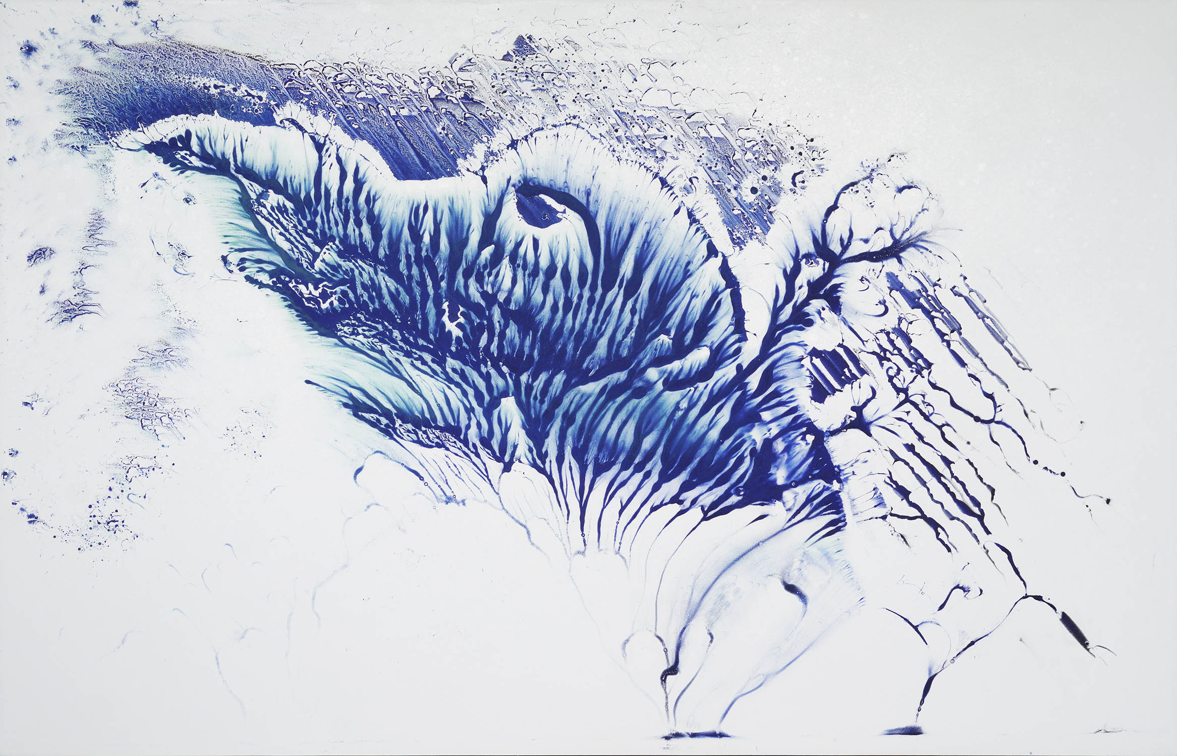 Walking on Water Makoto Fujimura